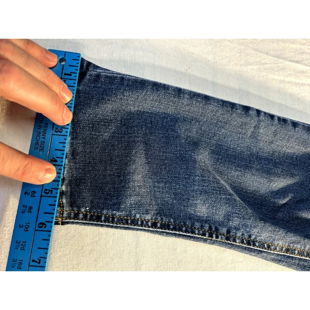 Indigo Rein indigo raw